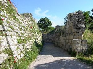Trojan walls